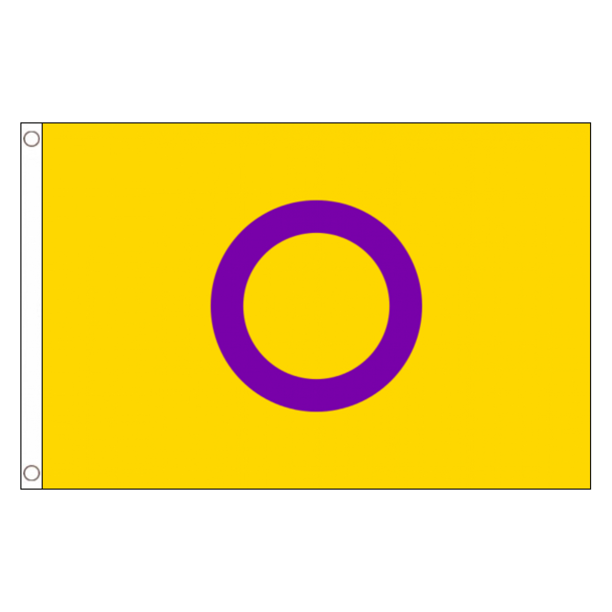 5′ Intersex Flag The Pride Shop