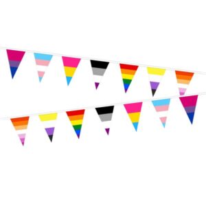 15 metre LGBTQ+ Pride Rainbow Triangle Bunting