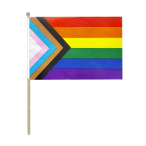 Progress Handheld Pride Flag (22.5cm x 15cm)